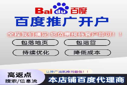 百度竞价赚钱攻略：实战案例分享